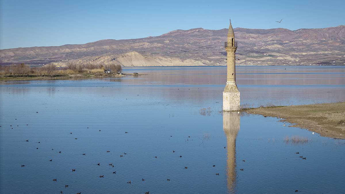 Geçen sene hayvanların yürüyüş rotasıydı, bu yıl balıklarla doldu taştı! Havalar normale döndü