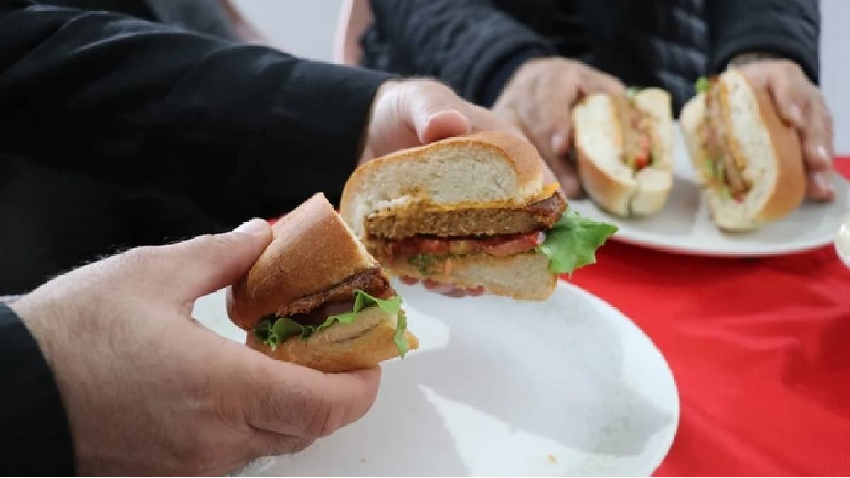 İstiridye mantarından turşu, köfte, hamburger yaptılar: Çeşitlilik artıyor, yerel ekonomi canlanıyor