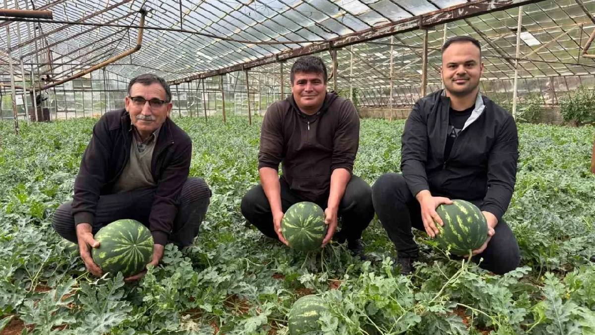 1.5 dönümden 9 ton ürün bekleniyor: Karpuz hasadı için heyecan başladı