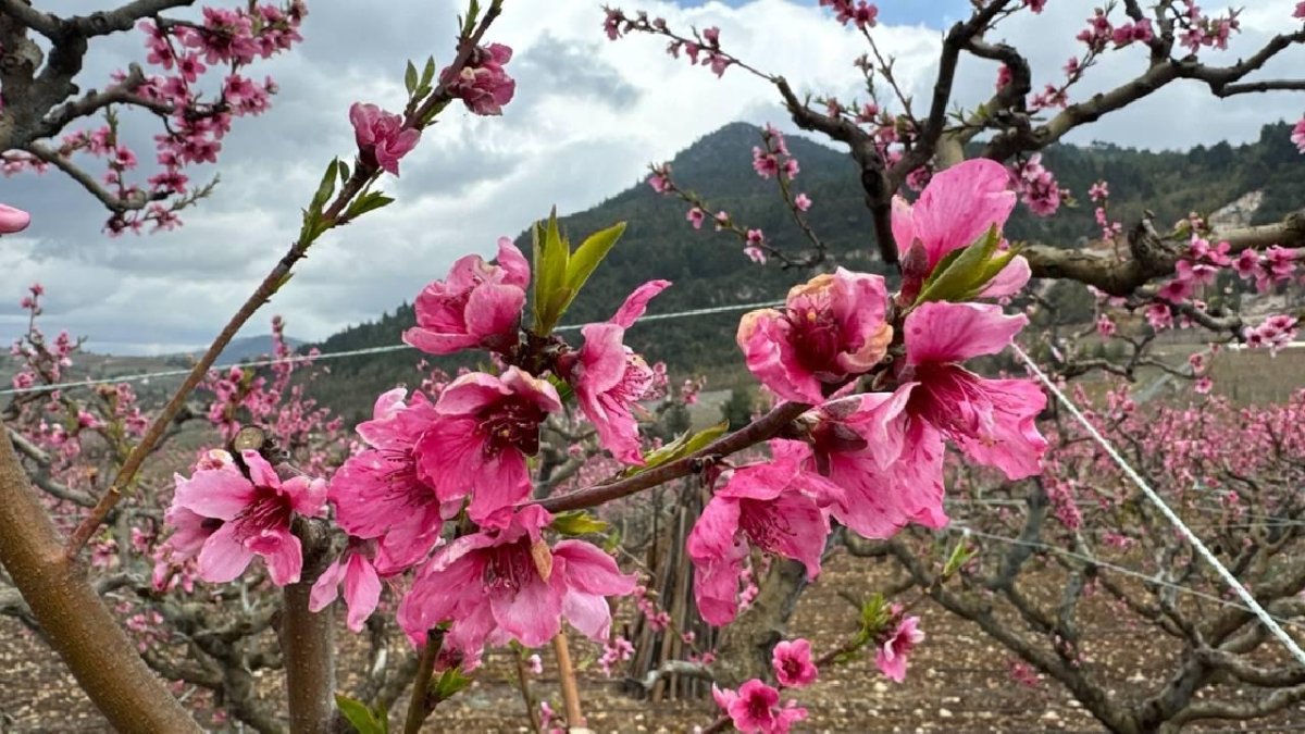 Mart 2026, dünya kayıtlarındaki en sıcak dördüncü mart ayı oldu