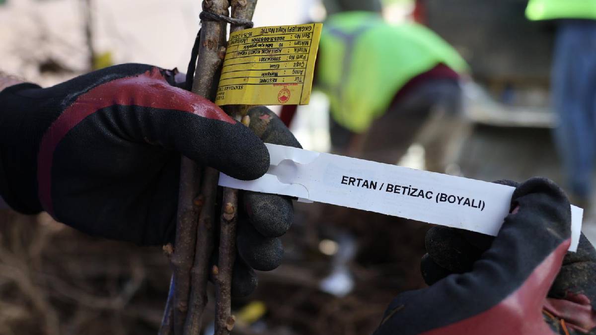 Beydağlı üreticiye çifte destek