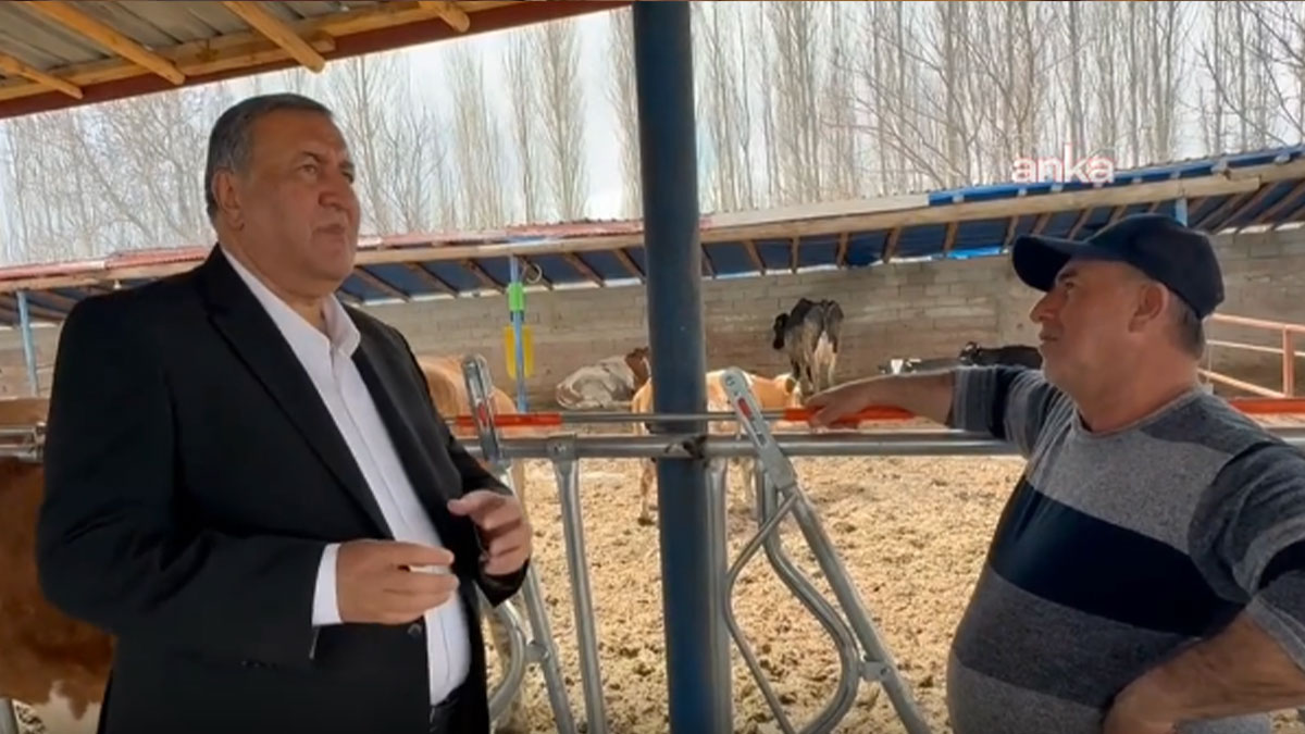 CHP'li Gürer dinledi, süt üreticisi anlattı: Gelirler giderleri karşılamıyor