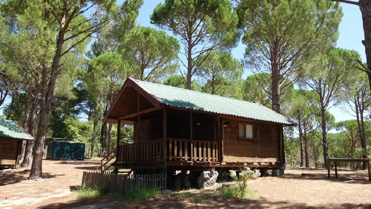 Bungalov dolandırıcılığı operasyonu: 9 kişi tutuklandı