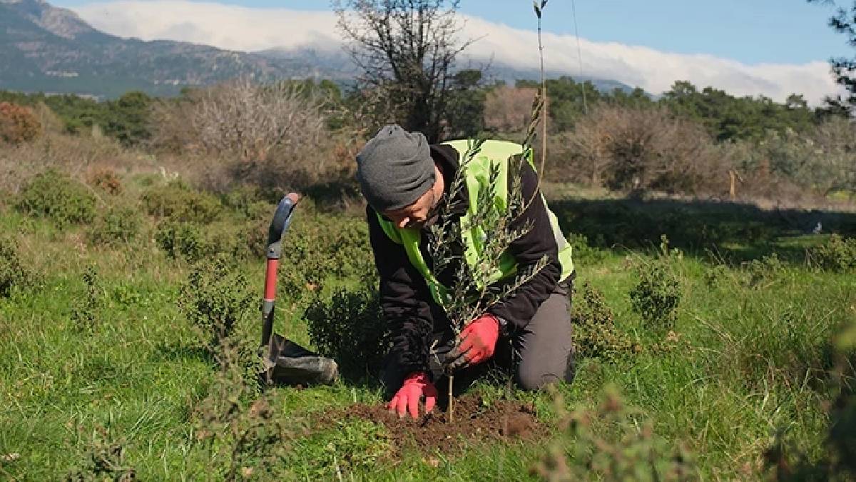 13 yıldır Türkiye’yi yeşillendiriyor! Köy köy geziyor, 1 milyon hedefi için çabalıyor