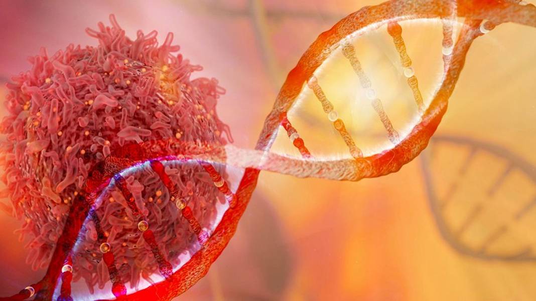 Kansere karşı Mo-Rez mucizesi: Klinik deneylerde büyük başarı gösterdi