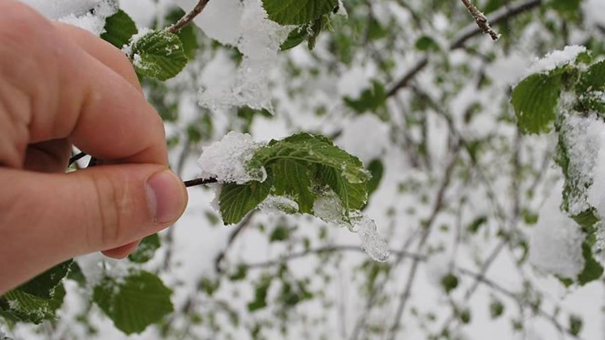 Ankara Valiliği’nden zirai don uyarısı