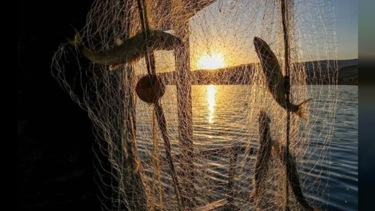 Denizlerde av yasağı başladı mı 2026: Tezgahlarda hangi balıklar var, yasak ne zaman bitiyor?