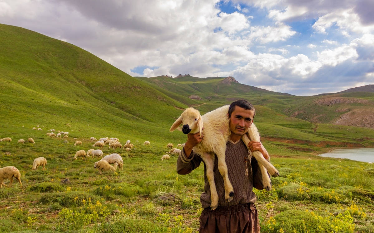 110 milyon çobanı bekleyen büyük tehlike kapıda