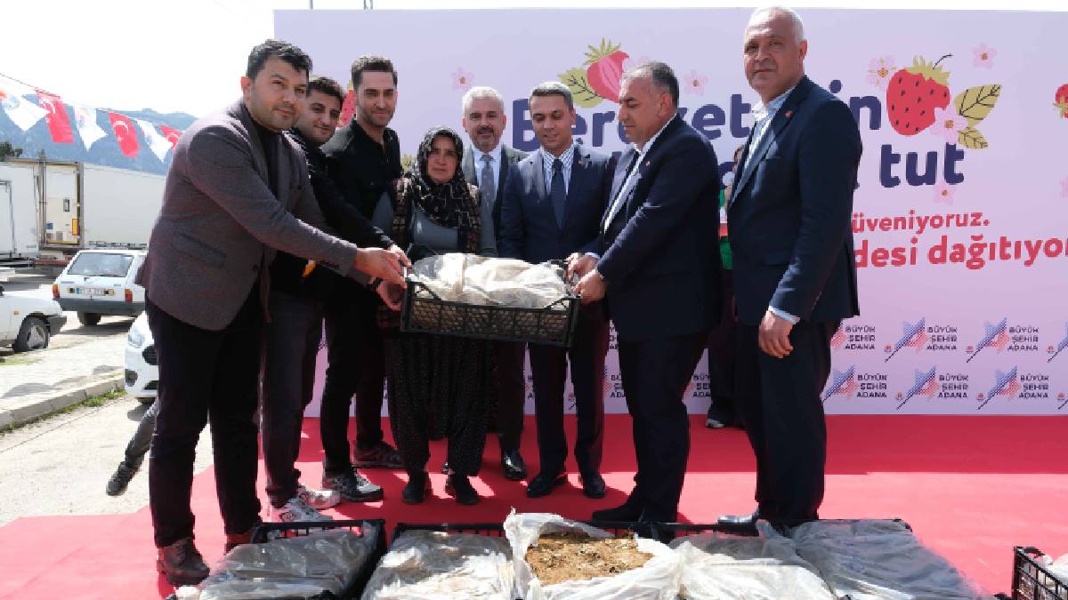 Adana Büyükşehir, sosyal belediyecilikten taviz vermiyor: Pozantılı üreticiye 900 bin çilek fidesi daha dağıtıldı