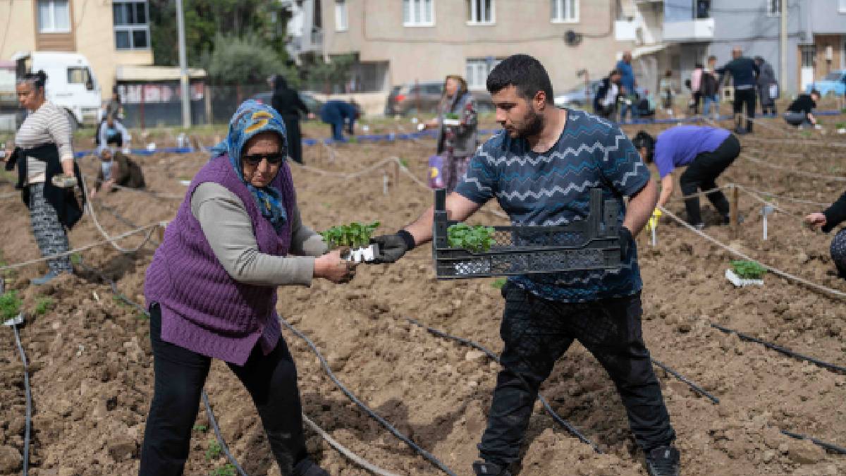 Bornova’da umut toprakla büyüyor: Kent Bostanlarında yaz sezonu coşkuyla başladı