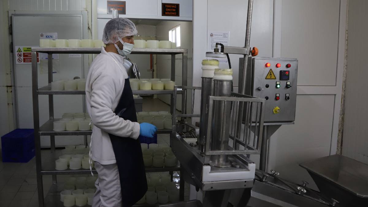 Eskişehir'de rekor üretim ve güvenilir gıda hamlesi: "Halk Süt" ile sağlıklı, ekonomik ve güvenli ürünler sofralarda