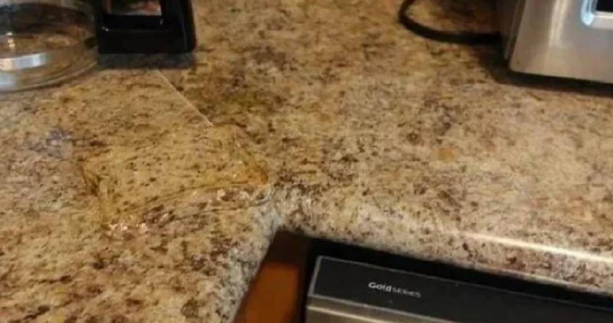 Gözlerinize güveniyor musunuz? Mutfaktaki gizli tostu 5 saniyede seçebilenlerin IQ'su tescilleniyor!