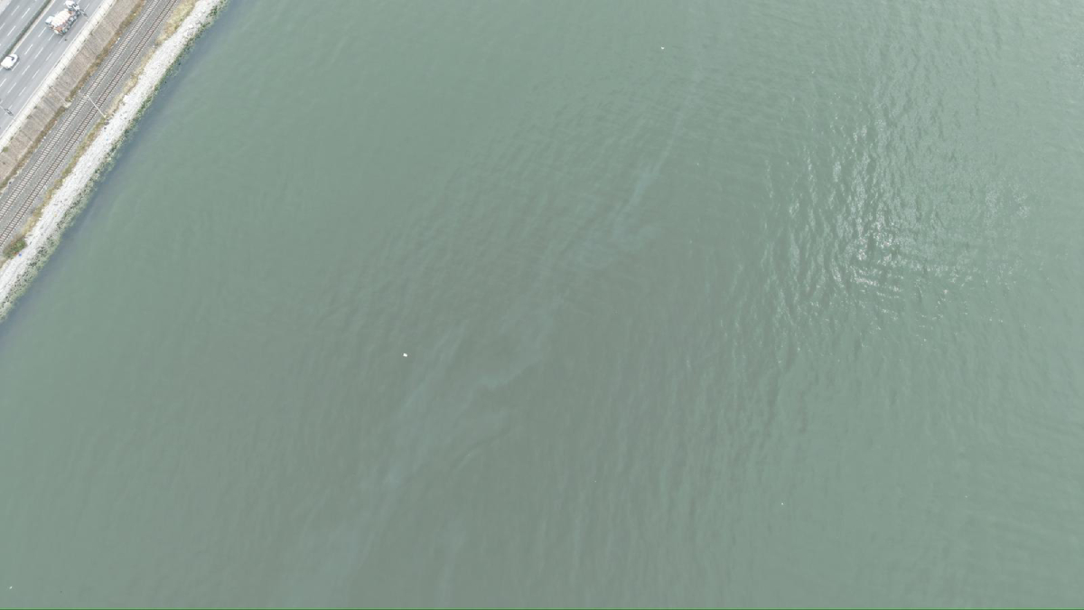 İzmir Körfezi’nde kirlilik alarmı: Aynı tehdit 11. kez görüldü