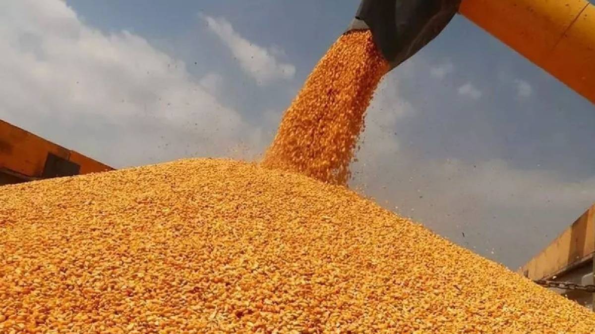 CHP'li Ömer Fethi Gürer: Çiftçi bankalara 1,4 trilyon lira borçlu