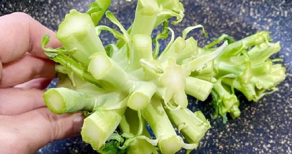 Herkes tüketiyor ama faydalı kısmını çöpe atıyor! Brokoliyi bu şekilde tüketin