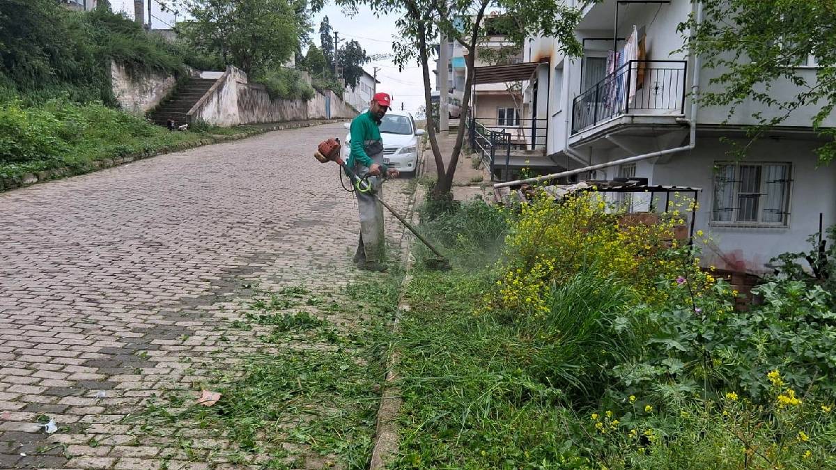 Başkan Yetişkin’le Efeler’de bahar temizliği seferberliğe dönüştü