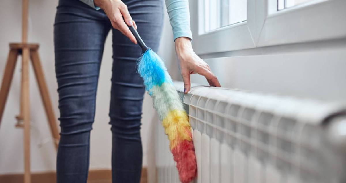 Yaz gelmeden petekleri kirlerinden arındırın! Tek malzemeyle tertemiz olacak