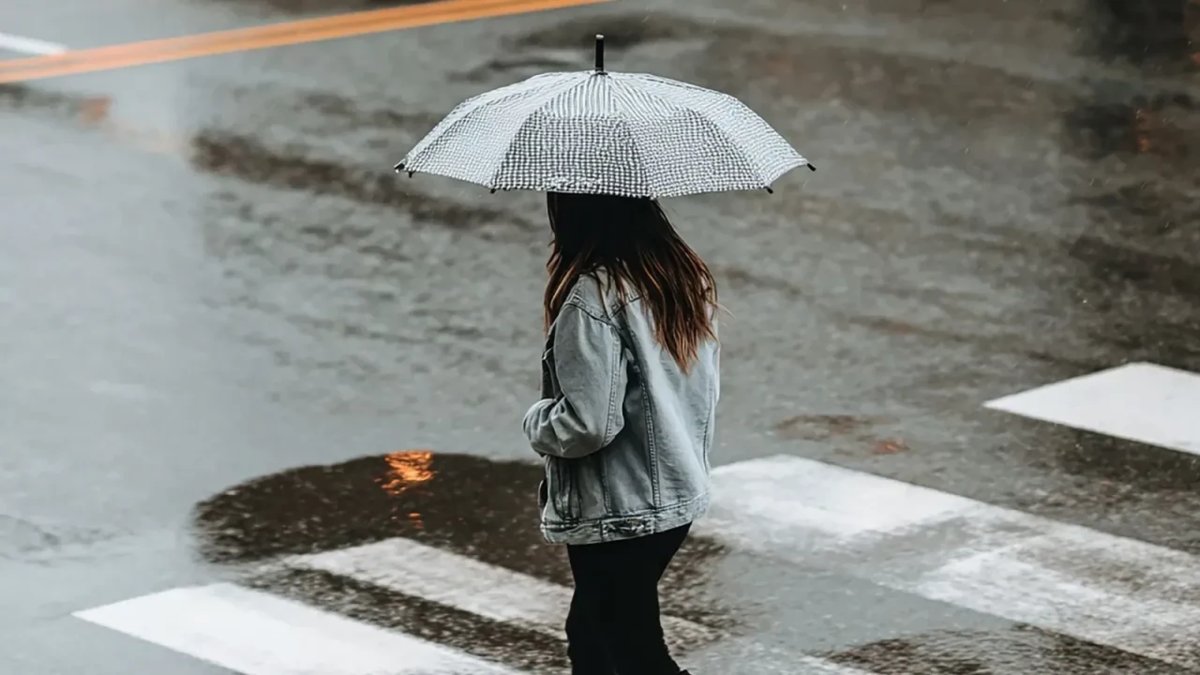 Yurt genelinde sağanak alarmı: Marmara ve Karadeniz'de kuvvetli yağış etkili olacak