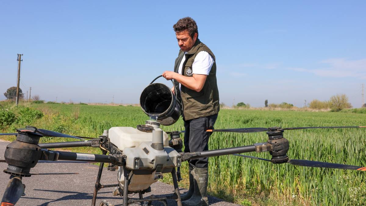 Tarıma ve üreticilere destekler sürüyor: Aydın Büyükşehir, tarlaları drone ile ücretsiz gübreliyor