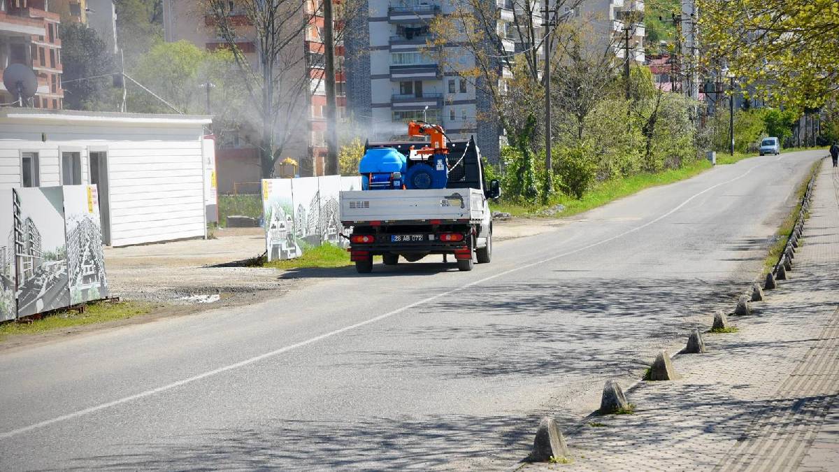 Giresun Belediyesi kokarca ile mücadeleye başladı