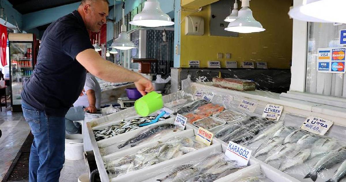 Tezgahlarda yerini aldı, en çok tercih edilen oldu! Bu kez ne istavrit alacaksınız ne de hamsi: Kilosu 300 TL’ye satılıyor