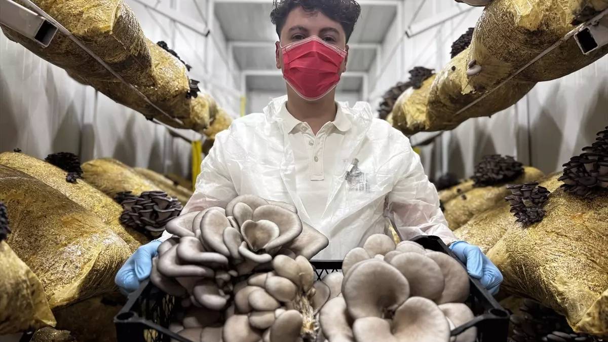 Genç girişimci üretiyor, 12 ay ürün alıyor: Zamanla ihracata geçmeyi hedefliyor