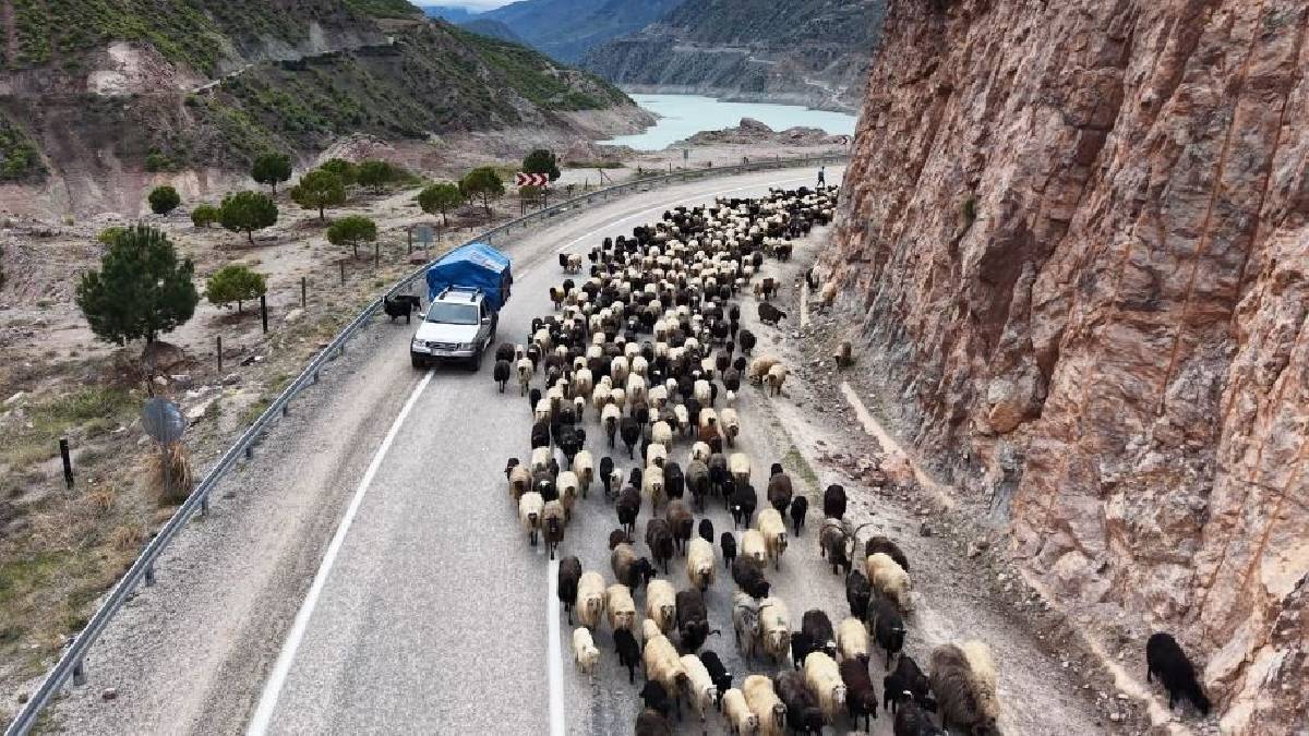 Kilometreler süren yayla yolculuğu başladı: Zorlu serüven görüntülendi