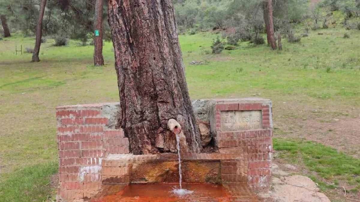 Bu çeşme su değil doğal maden suyu sunuyor: İçmek isteyen Laçin’e akın ediyor
