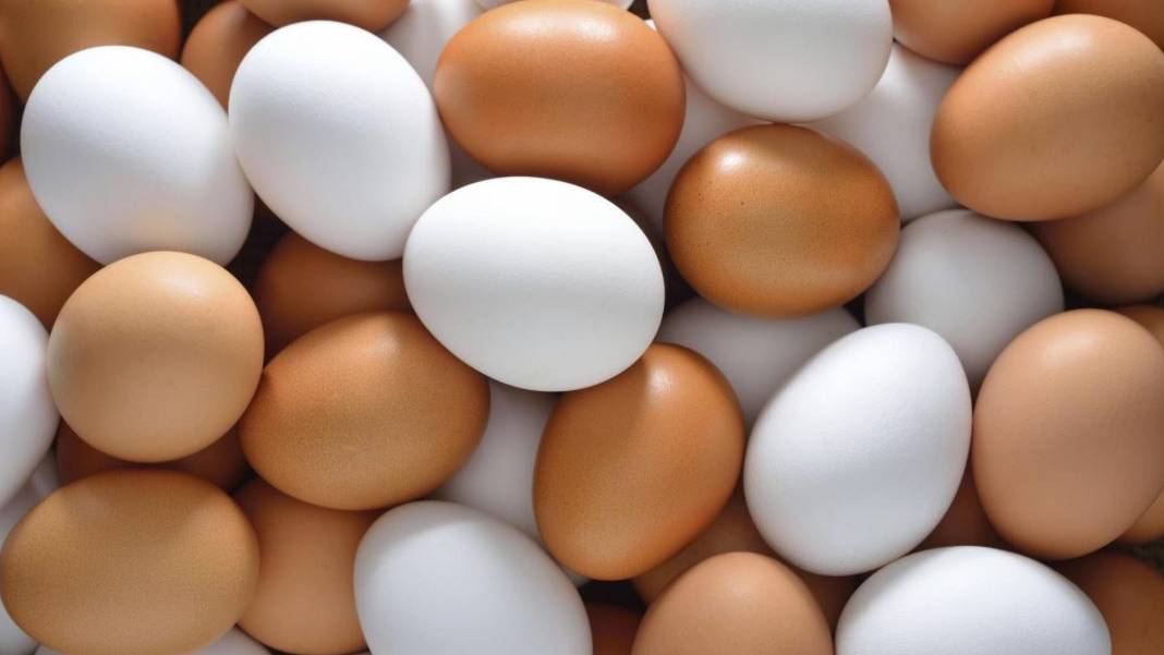 İhracat kotasının arttığı yumurtada zam kapıda mı?