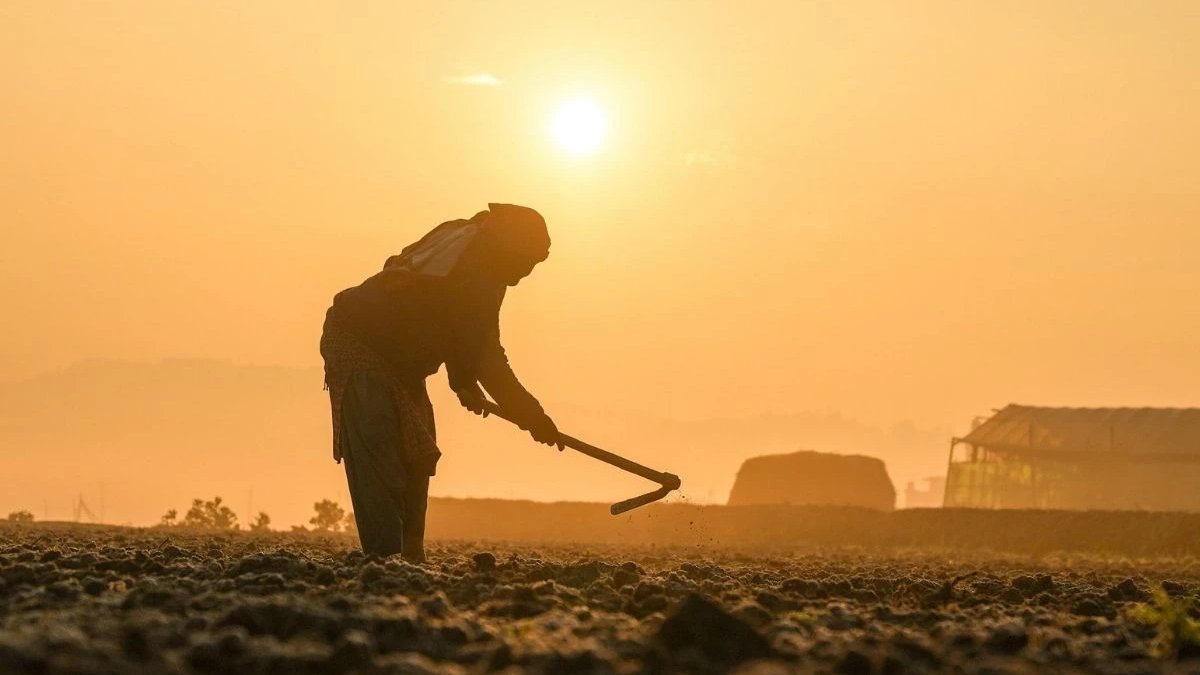 Küresel gıda güvenliğinde "kırmızı alarm": 1 milyar insan sıcaklık tehdidi altında