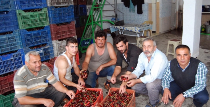 Akşehir'de ihraç edilen kiraz 
5 liradan 2.5 liraya düştü