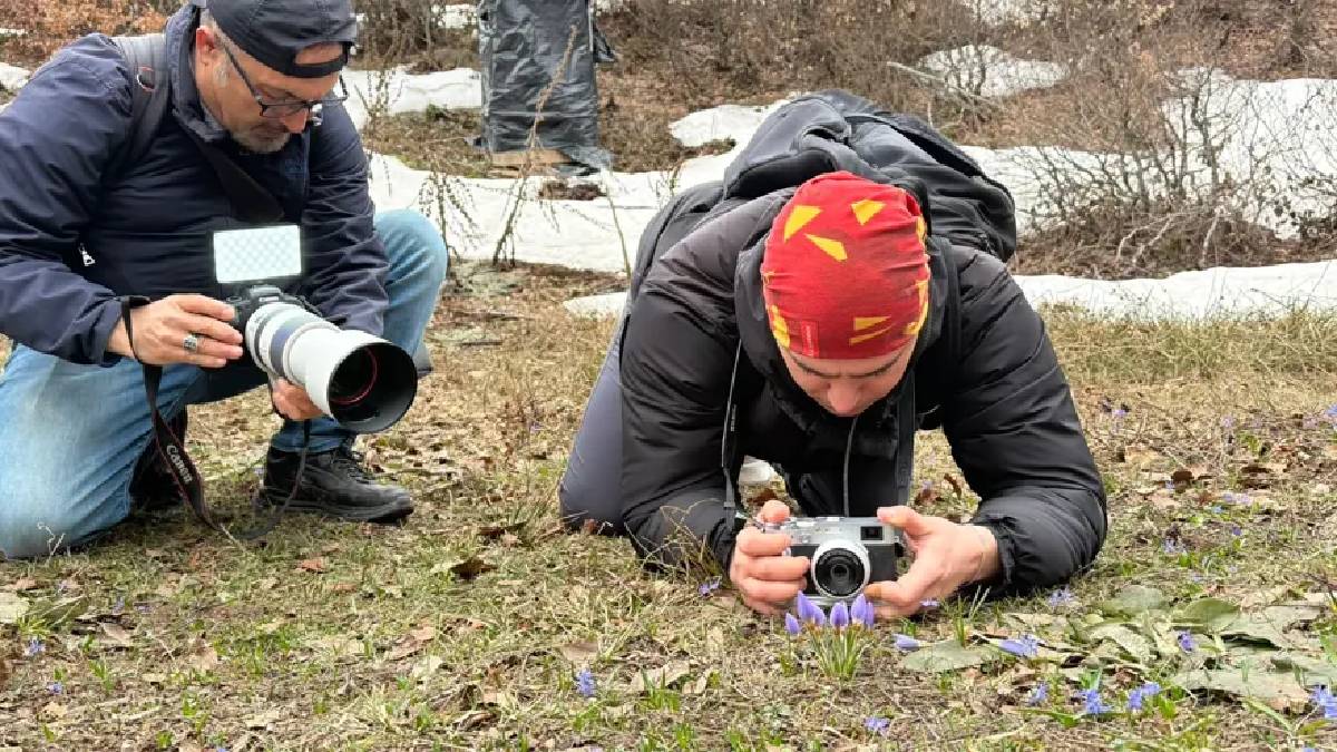 Dünyada Kocaeli’nden başka bir yerde yetişmiyor: Sabah erkenden peşine düştüler