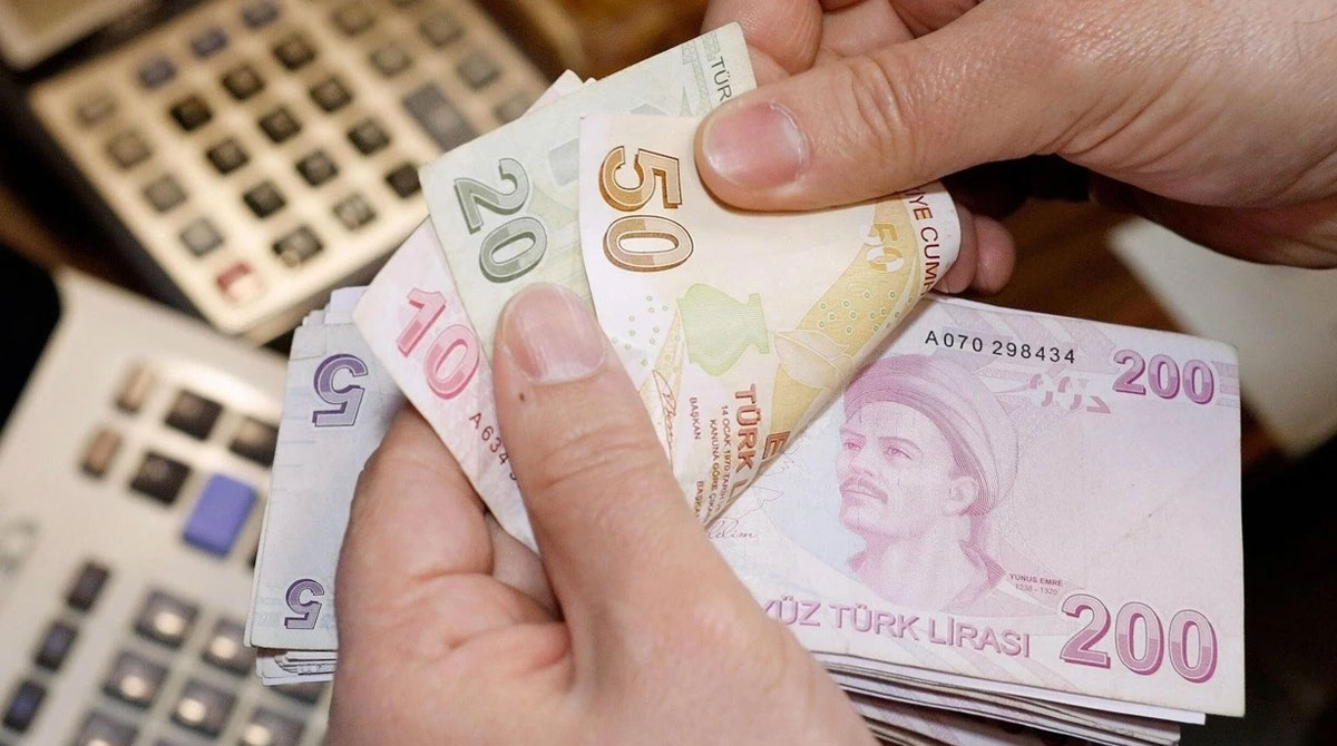 İki üründe gümrük vergisi kaldırıldı