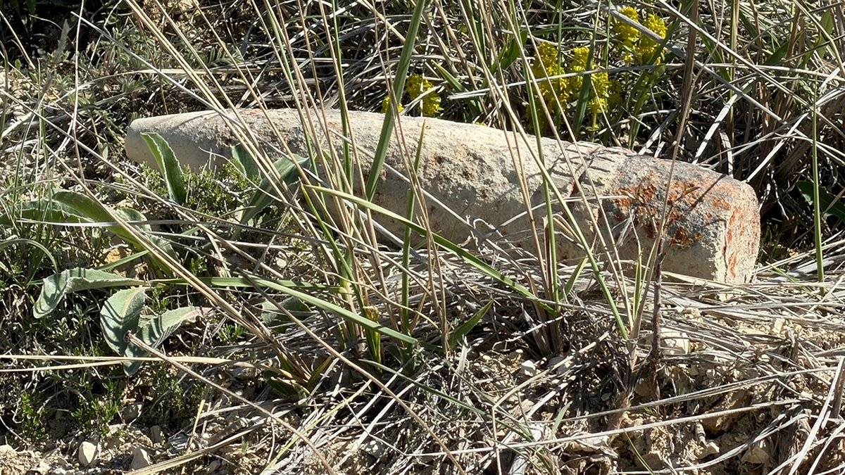 Ankara'da facianın eşiğinden dönüldü: Elinde taşıdığı parça, patlamamış top mermisi çıktı