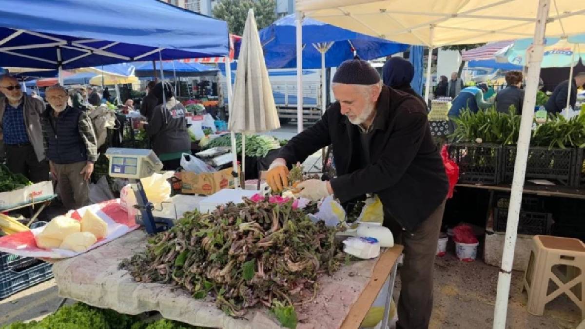 Baharda kendi kendine yetişiyor, pazarın gözdesi oluyor: Kilosu 100 TL’den alınıyor