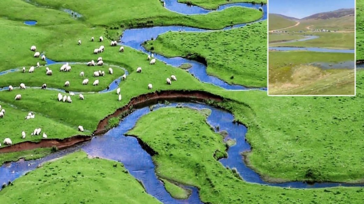 Karadeniz'de maden kuşatması sürüyor: Doğal sit alanı Perşembe Yaylası'na jandarma eşliğinde girdiler