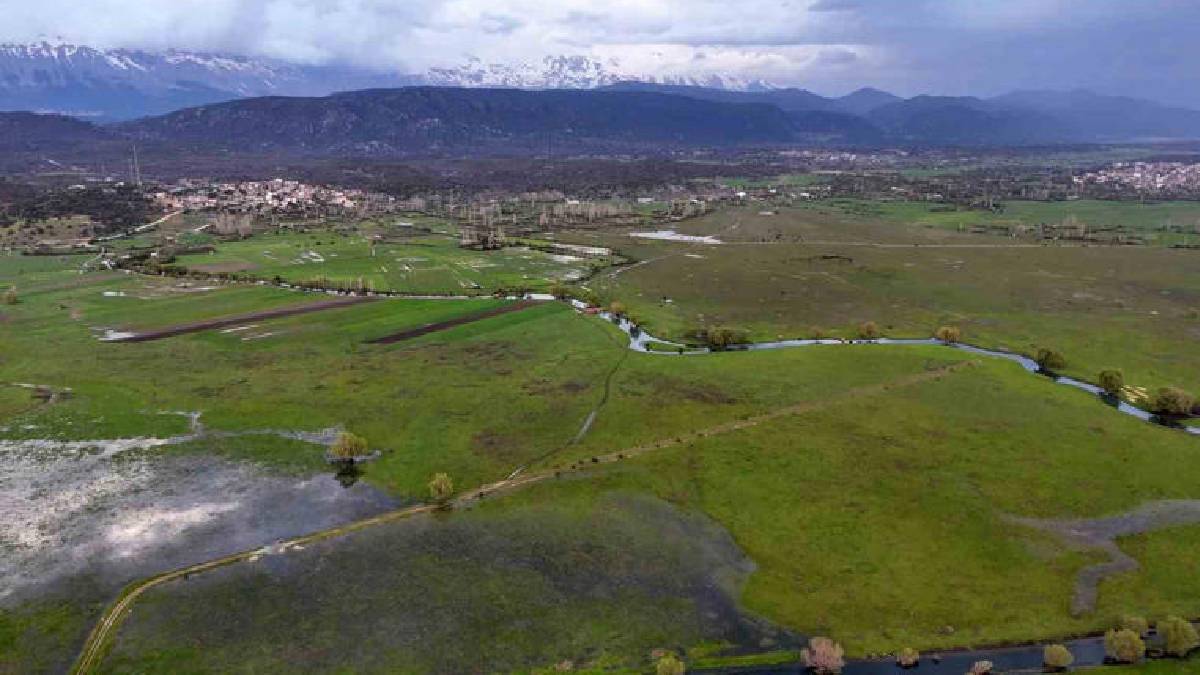 Tablo değil burası Konya: Baharla birlikte leyleklerin durağı yeşile büründü