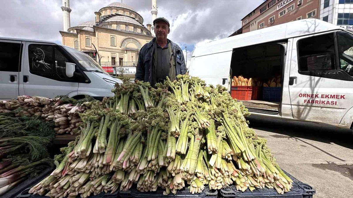 Zorlu coğrafyada kendiliğinden yetişiyor: Pazar tezgahında 150 TL’den satışta!