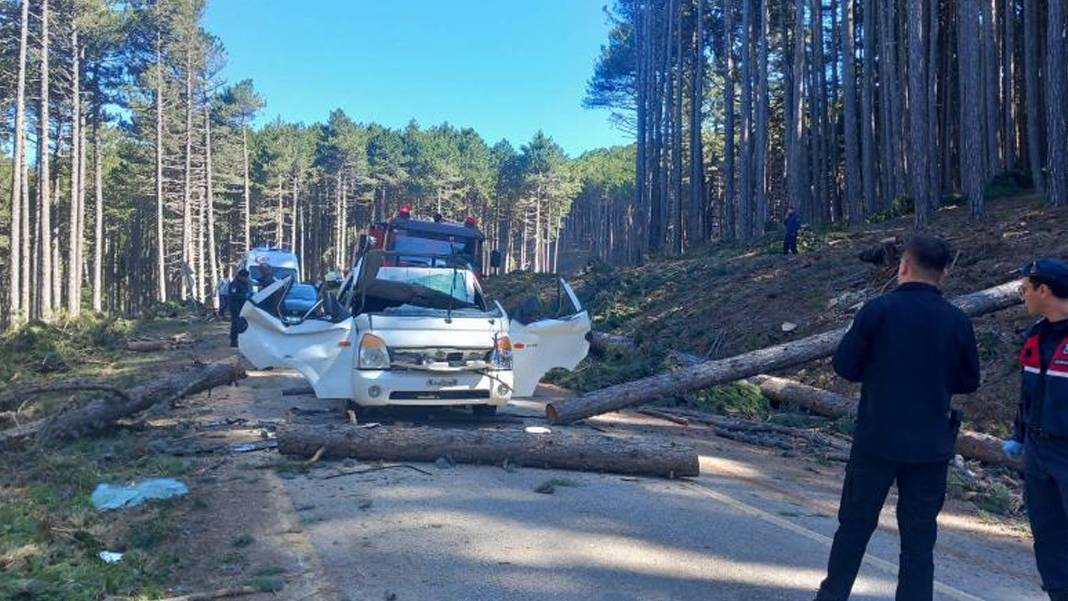 Uludağ yolunda feci ölüm! Ölü ve yaralılar var: Dev çam ağacı kamyonetin üzerine devrildi