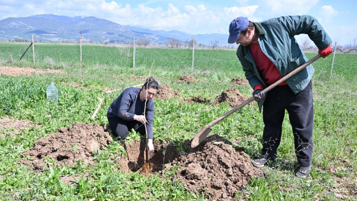 Büyükşehir ipek böceği yetiştiriciliğini yaygınlaştırıyor