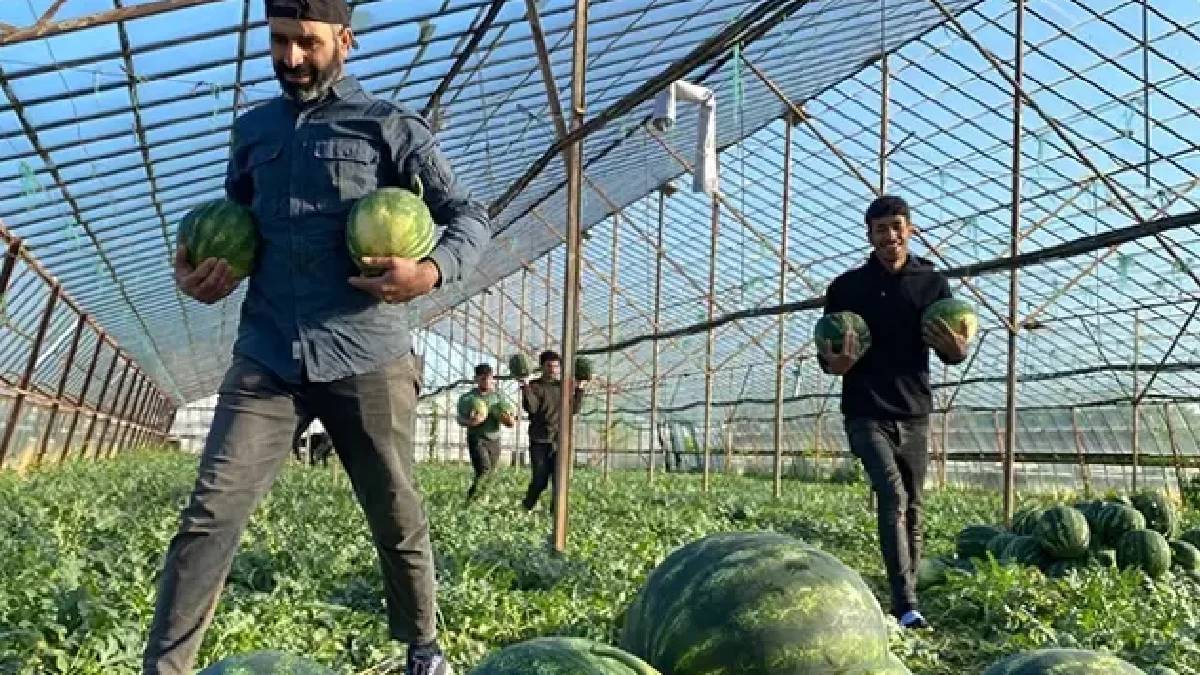 Yaz demek ‘Karpuz’ demek! Antalya’da yüzleri güldüren ilk hasat yapıldı