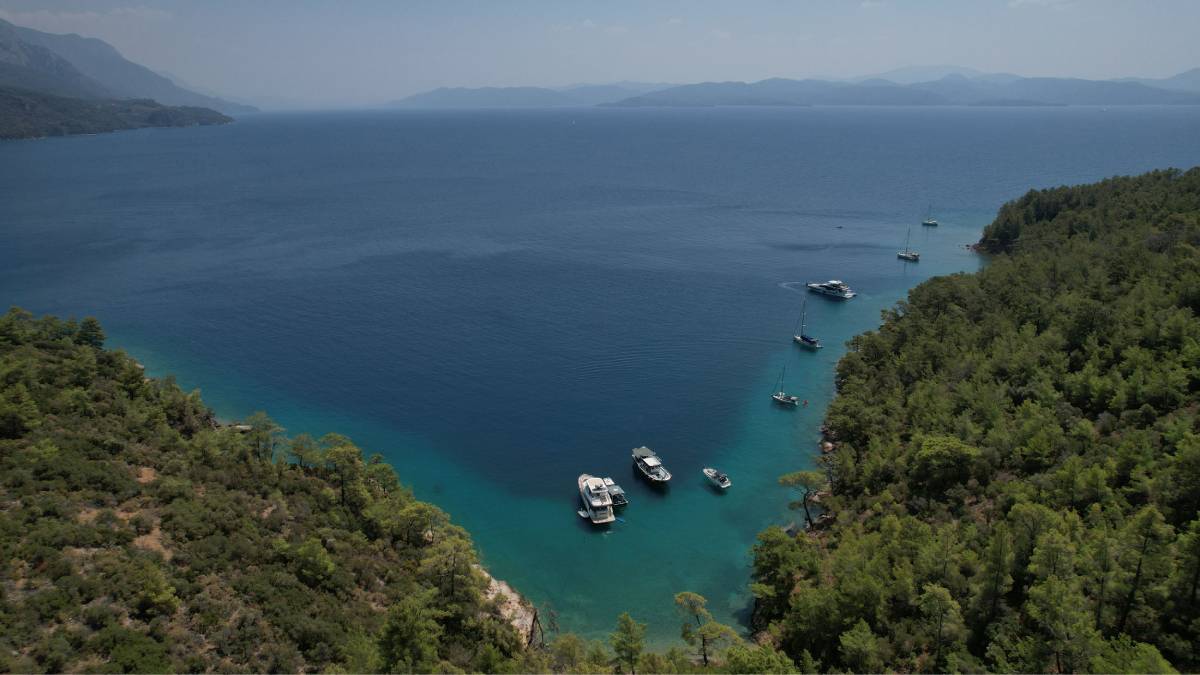 Muğla’nın doğası için 288 hukuki mücadele