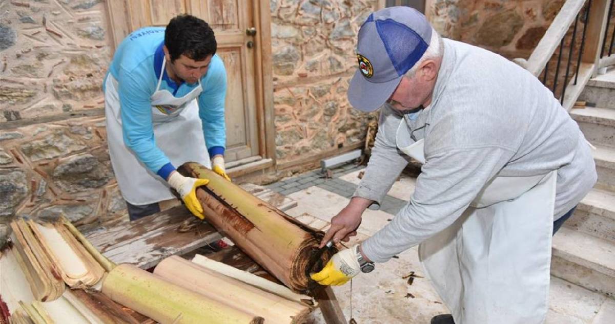 Atık ürünler modaya dönüşüyor! Muz gövdeleri artık gardıroplarda yer alacak