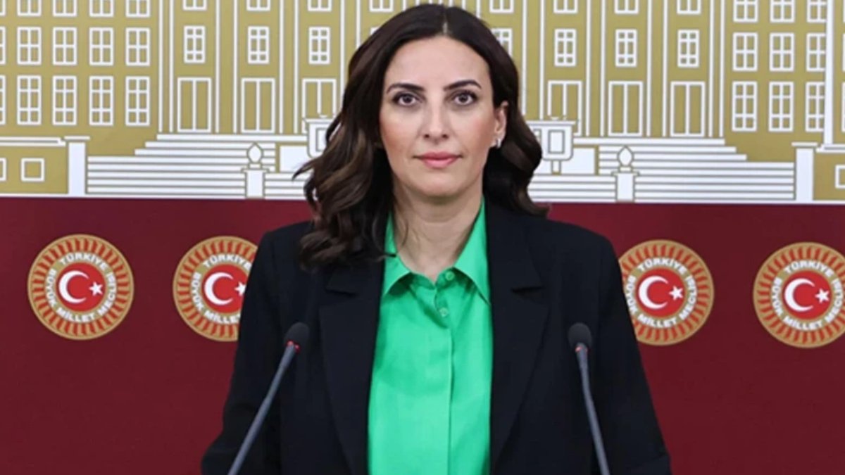 CHP’li Evrim Rızvanoğlu: Bu ülkenin ormanları sahipsiz değil