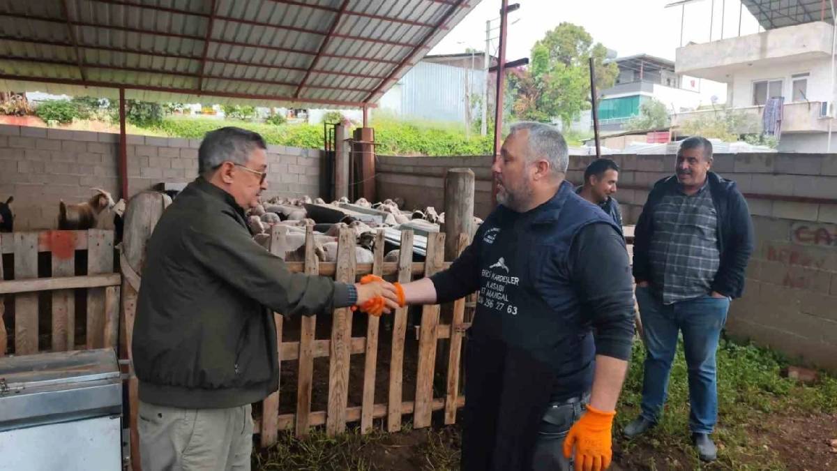 Fiyatlar 400.000 TL’ye kadar çıkıyor! Pazarlıklı talep satıcıyı memnun ediyor