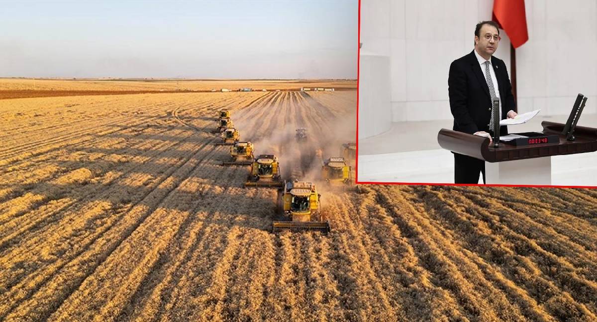 Devletin 200 milyonluk fıstığı buhar oldu! Sahte evrak iddiası Meclis'i karıştırdı
