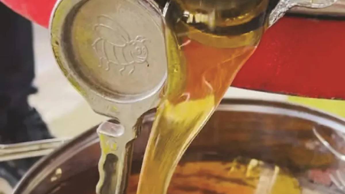 Kilosu 1.500 TL’den satılıyor! Cep dolduran hasat başladı
