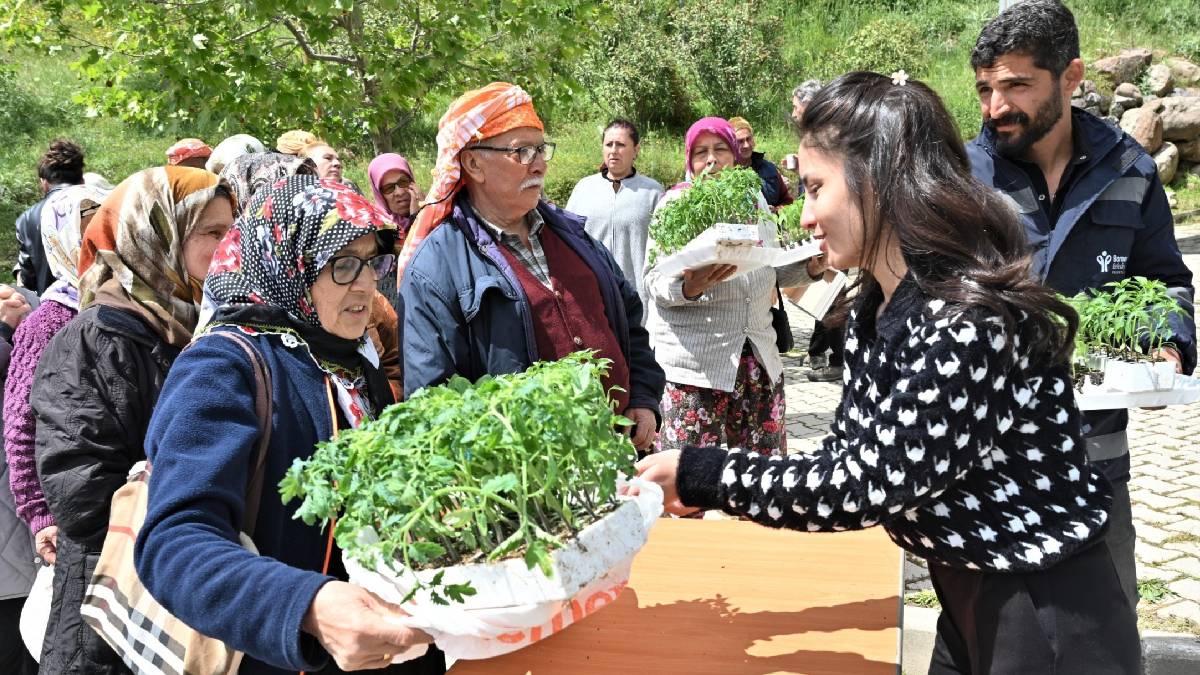 Bornova’dan üreticiye can suyu: 150 bin yazlık sebze fidesi dağıtıldı