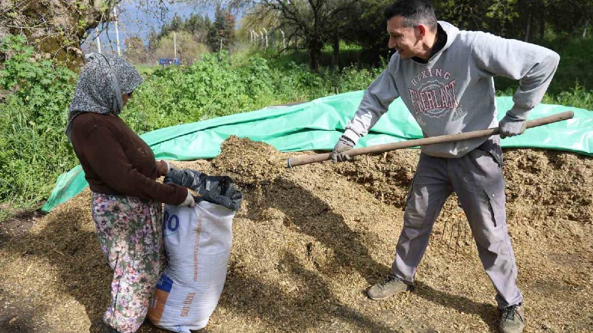 Bahar yağışı bereketiyle geldi! Hayvancılık sektörüne ek gelir kapısı açıldı