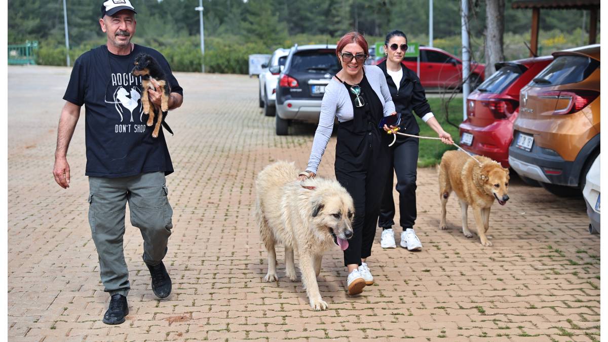 Büyükşehir Bakımevi’nde can dostlar sıcak yuvalarına kavuşuyor